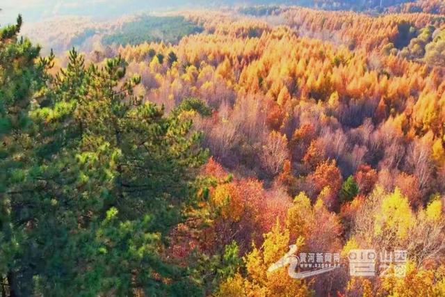 晋彩十月间丨看！一幅绚丽三晋秋日画卷徐徐展开