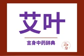 艾叶（温经止血药）图片