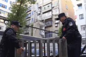 被抓捕的流浪犬到哪了？放心！在十堰有它们温暖的家图片