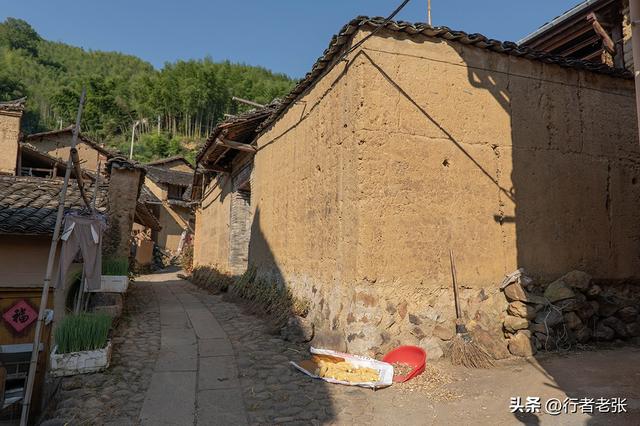 走遍浙江古村落，为了看一棵枯树，我骑行一千公里来了两趟松阳