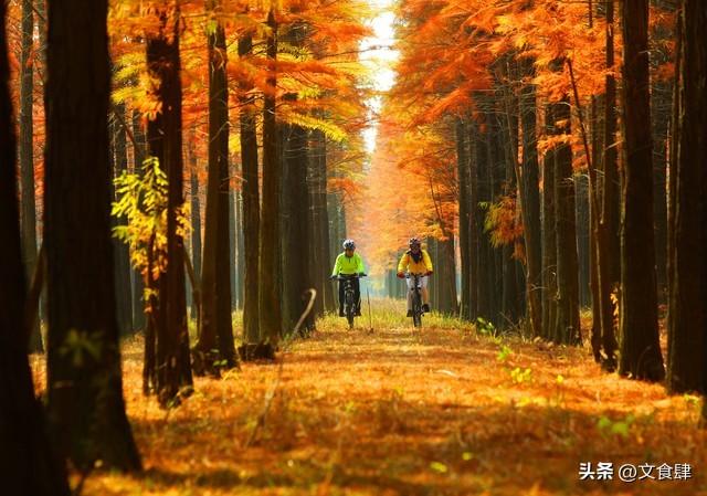河北中南部旅游攻略：邯郸、邢台、保定