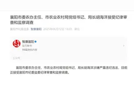 涉嫌严重违纪违法！襄阳市委农办主任、市农业农村局党组书记、局长胡海洋被查图片