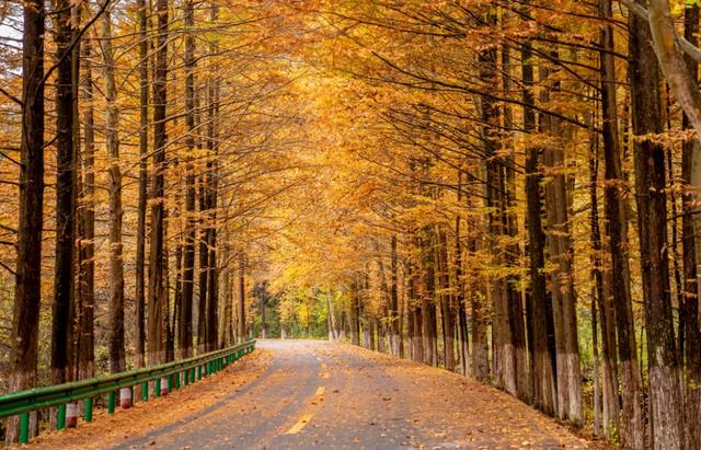 全国十佳！汉中这条公路太火了！