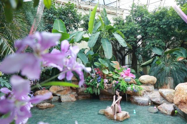 清明假日，临沂汤泉旅游度假区邀您赶头汤开启一站式春日康养体闲之旅