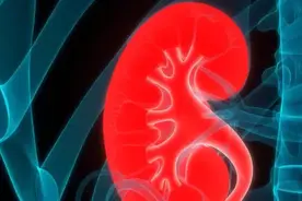 湿气重，头发少，有了这个中成药，湿气变少，头发变多图片