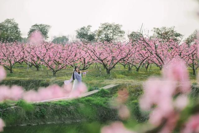 已就位！江阴又一网红打卡点！