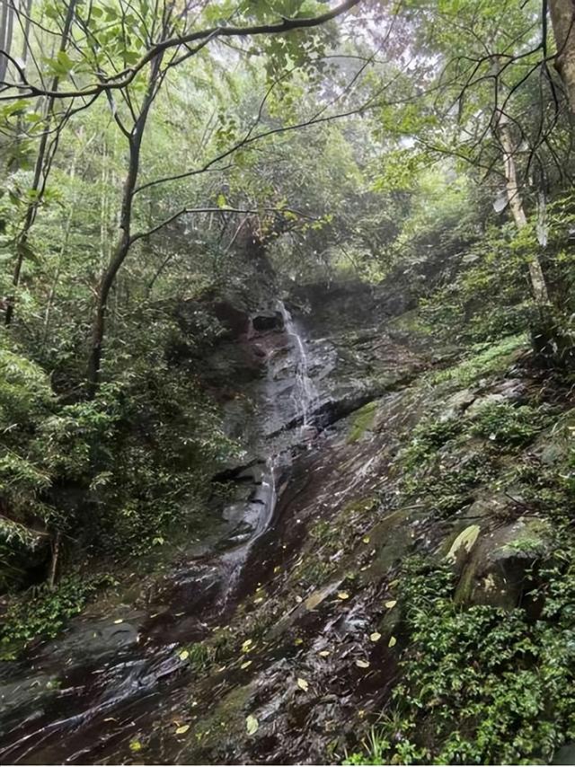 追梦老顽童戴树民：捞河之源，迷人周洛