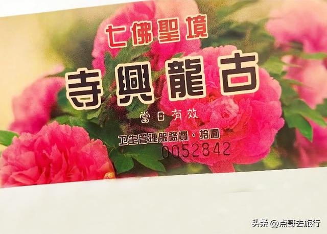 成都20000株牡丹惊艳盛放，华丽与黄墙相映，不愧是顶流赏花地！