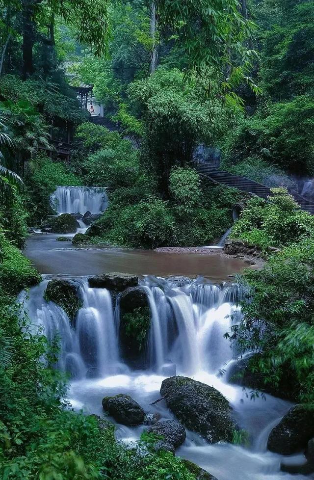 青城山——成都人心中的山水自留地