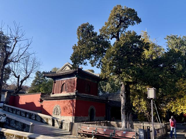 博物FUN | 大觉寺：千年古刹的禅意与新生