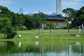 深圳宝妈宝爸必看！市区10 处宝藏级遛娃胜地，解锁亲子欢乐时光图片