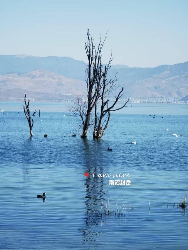 16个字，能概括出你心中的大理苍山的神奇吗？