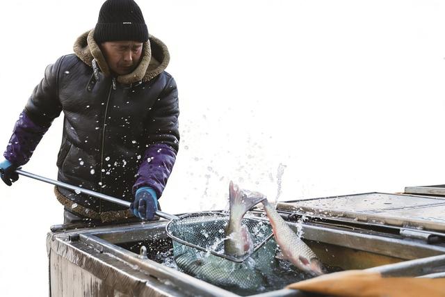 大美银川 美在品质丨烟火升腾暖人心 冬日银川的N种打开方式
