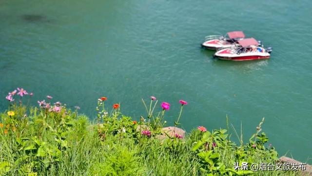 【乐游烟台】来呀，来“拈”花，来“惹”草！