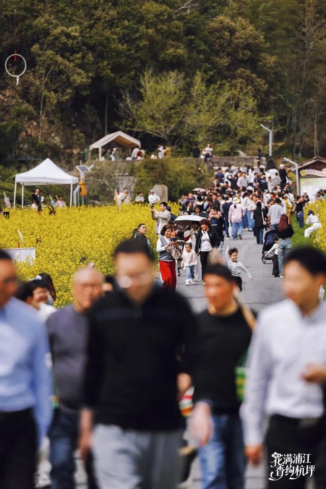2026浦江杭坪花朝季启幕 清明小长假邀您共赴花海之约