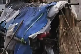 13岁男孩亲人离世，亲姑姑将他收养以后，却安排他居住在茅草棚里图片