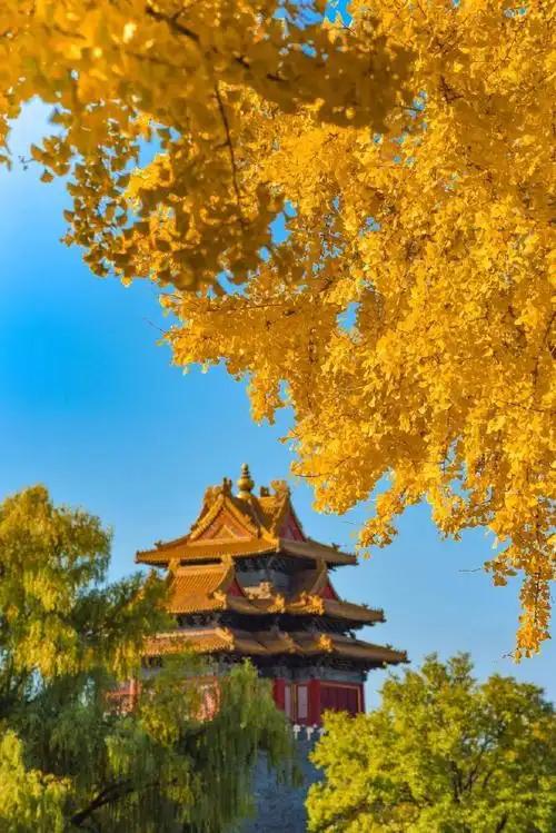 北京故宫的角楼您了解多少，来北京必打卡拍照地，来看一看