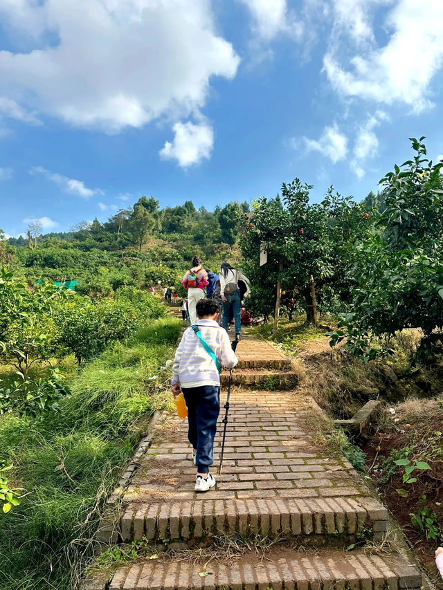 成都0.5h超小众亲子路线，登高望远摘果子，不走寻常路~