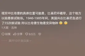 什么？有人说比奇堡天上的花是石油，评论区网友真的好有才华！图片