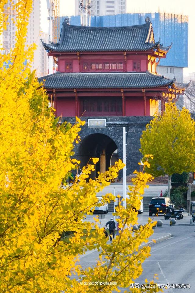 限时绝美！武汉街头颜值巅峰，地铁直达