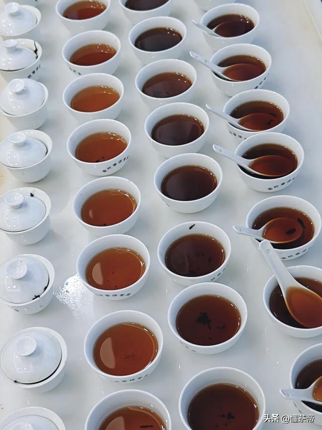 史上最全普洱茶盖碗冲泡测评！不同普洱茶怎么泡最好喝？
