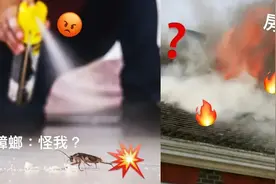 为了杀一只蟑螂，把一栋房子炸了？喷的杀虫剂怎么就要了人命？图片
