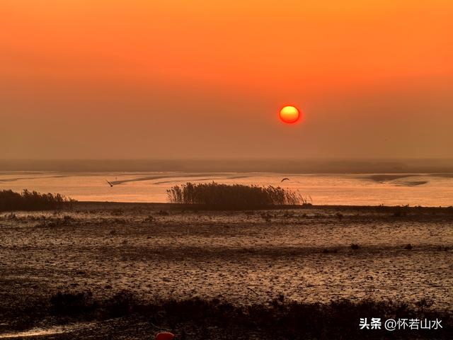 2025辽宁赏秋之旅日记(6)——到辽河口中国最北海岸线看日出 观鸟