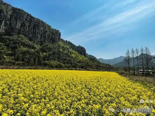藏于浙江5A景区内有一处“十里铁甲龙”，洞穴众多形态奇特