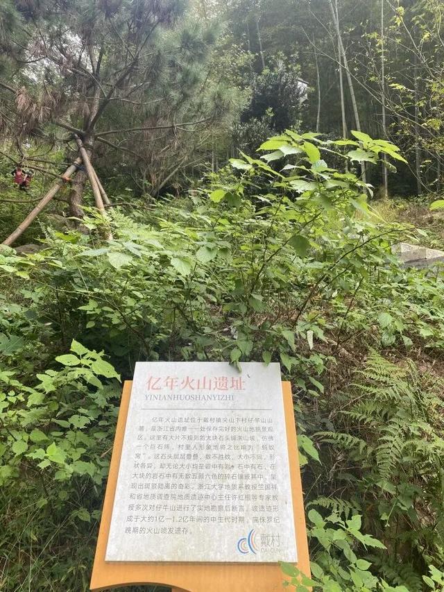 突然火了！有杭州人说，“我家四五代人都住在这里，根本就不知道......”