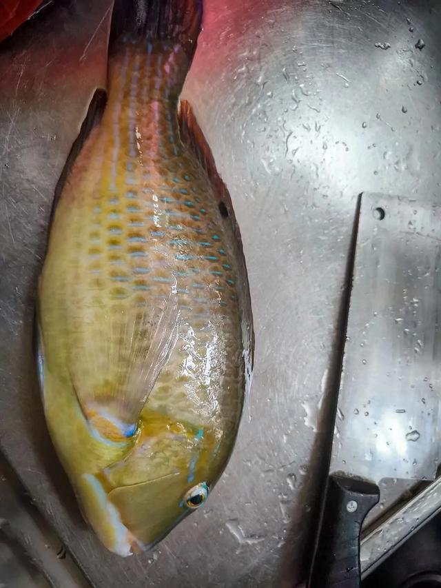 广西广东海南环游（三十八）滴水丹屏、南湾