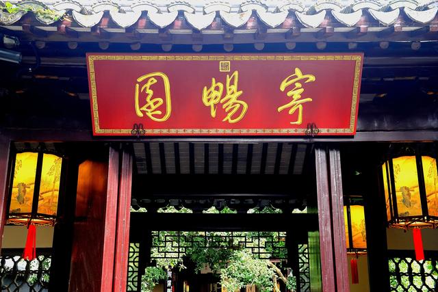 惠山古镇丨姹紫嫣红菊又来