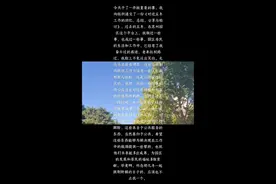 清华马翔宇告别苏州工业园区，五年总结发布引无数网友共鸣！图片