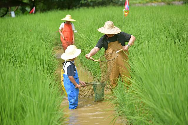 兴义：万峰林暑期“上新” 沉浸式玩法解锁文旅新浪漫