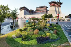 洛阳披“彩妆”，从一枝独秀到四季有花，“北国花城”建设初见成效图片