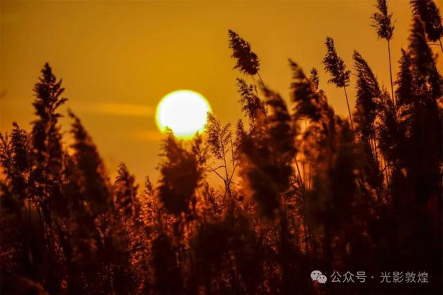 【美景敦煌】大漠孤烟直,党河落日圆