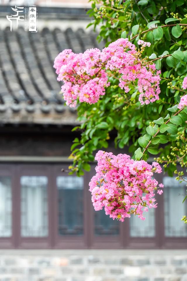 鸣羊街:来这里,解锁老城南