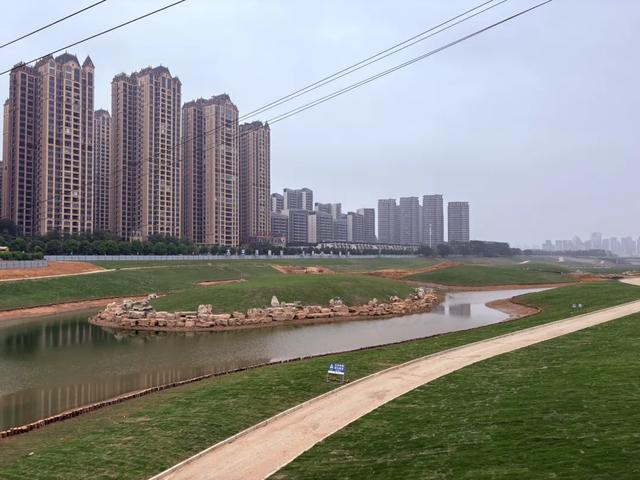 五象湖「最强景观」火了,公告成了废纸