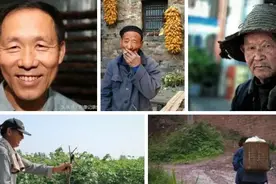 城乡居民养老保险，一次性补缴6万，看看你每月可以领多少钱？图片