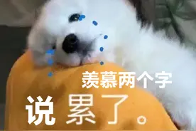 华为员工爆料：你以为的华为上班早9晚9很累，其实并不累图片