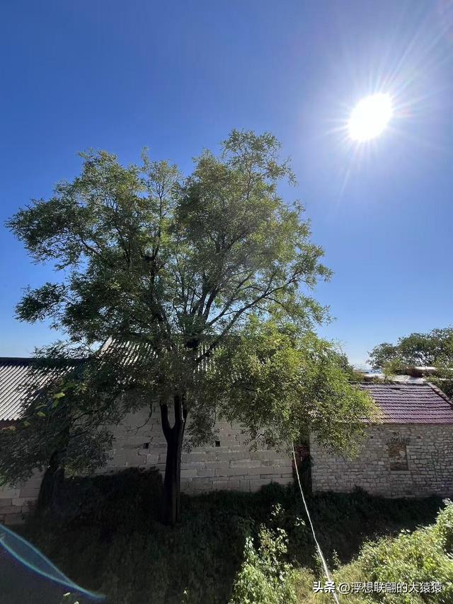 我，终于登上了岳阳山之巅！（博山登山记）