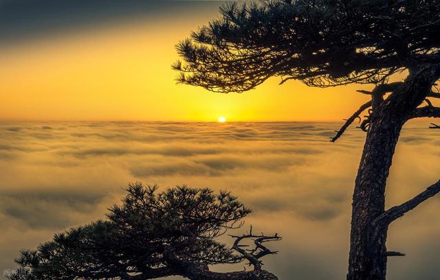 上饶旅游全攻略：从三清山到古村夜景的完美假期