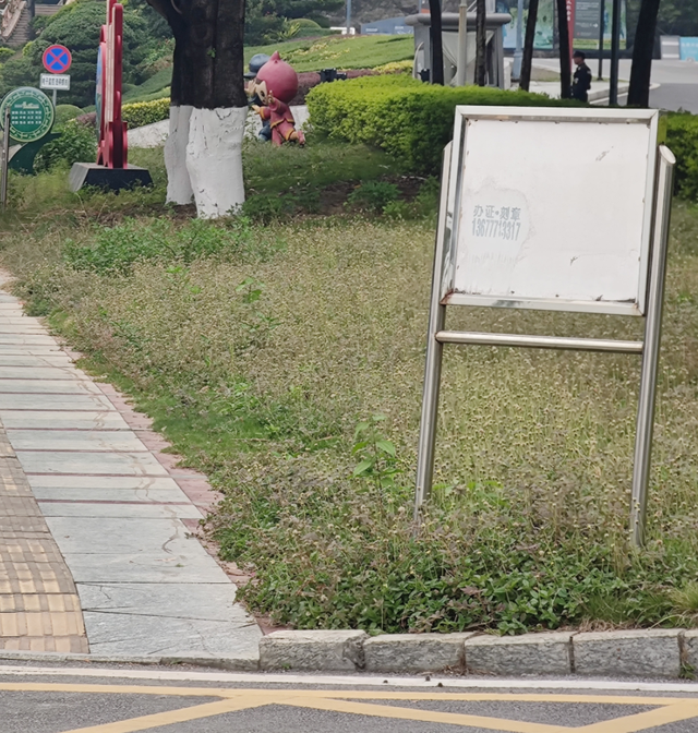 褪色的5A与失真的红色：百色起义纪念园为何背离初心？