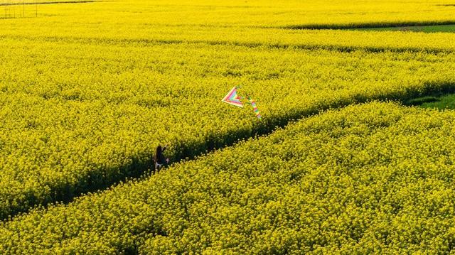 看不完，根本看不完！