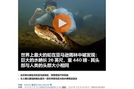 世界上最大的蛇被发现！科学家：可以吞下一头牛！图片