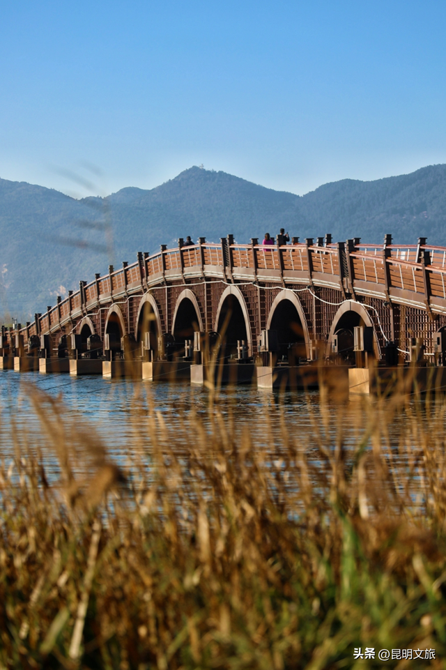 往返接驳+15分钟绿道直达赛点，给你的上合昆马开局加点“顺”~