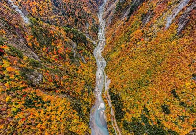 管他什么假，不放假也要来阿坝！