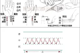 一起练习中医把脉，总有一天你也会把喜脉！图片