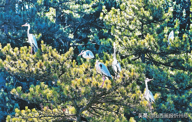 寻美五台山｜五台山 奇特地质的自然秘境