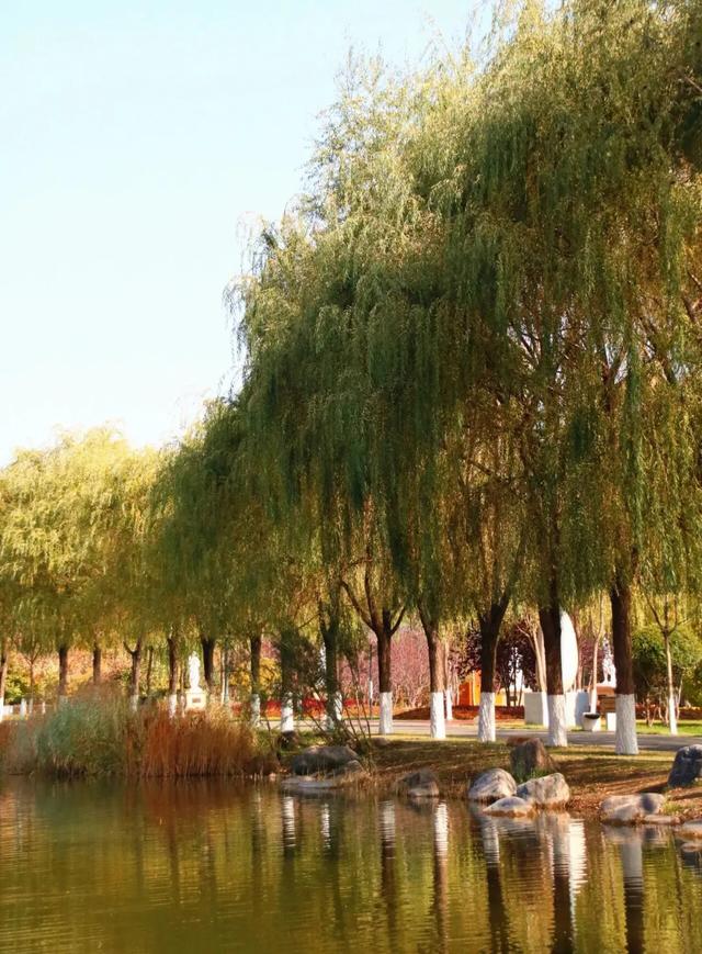 北疆文化 遇鉴赛罕 | 秋色漫卷赛罕:快将秋日打包,赶赴一场赛罕秋约!