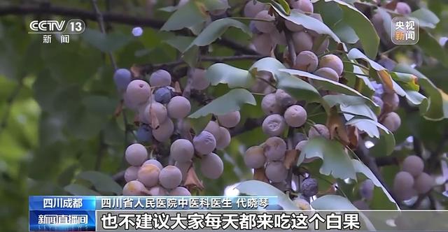 “捡秋”有风险 “尝鲜”需谨慎！牢记这些可避隐患